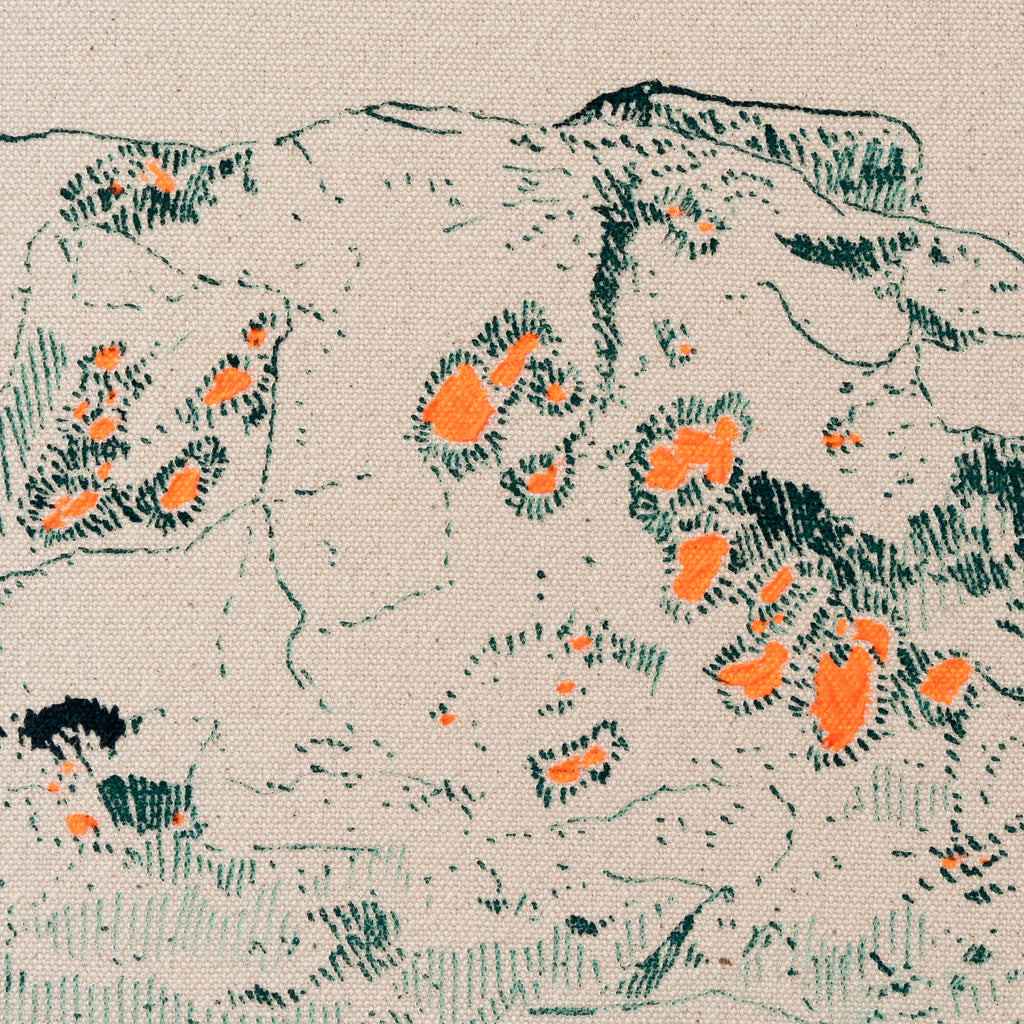 Lichen roches peinture orange