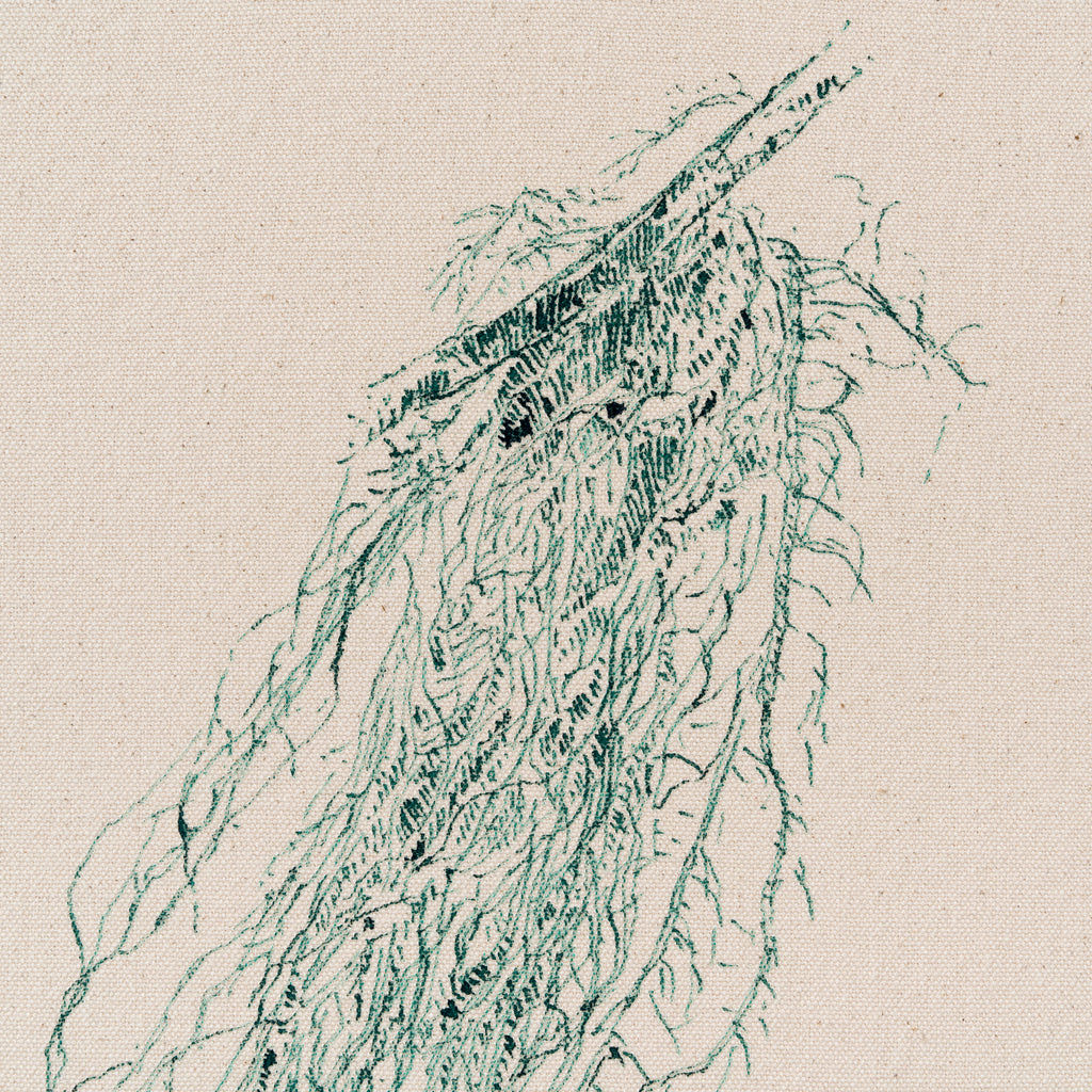 Série Mousse et lichen I