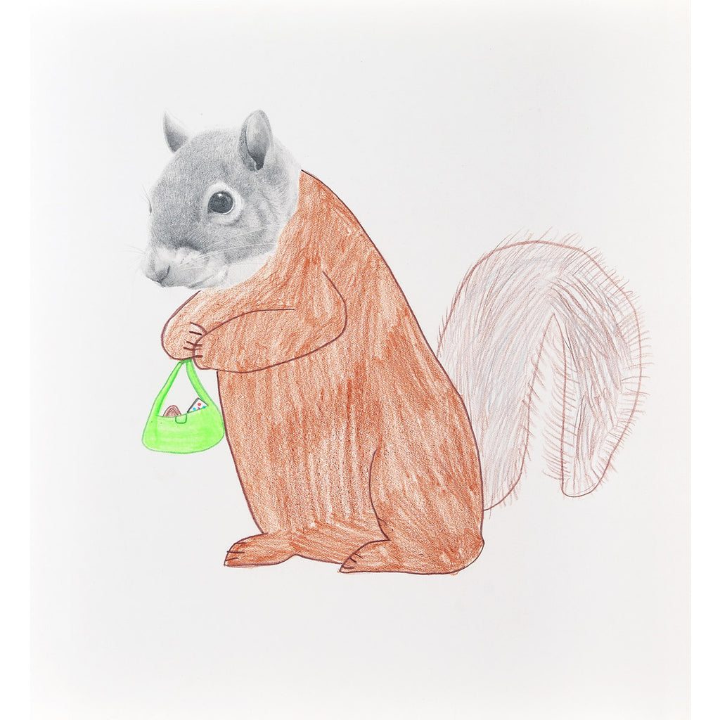 Écureuil faisant les courses
